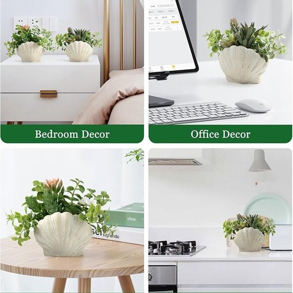 NEW Set of 2, Assorted Faux Succulents Artificial Plants with Sea Shell Pots - Picture 6 of 8